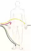 Bild som visar elektrodplacering vid EKG