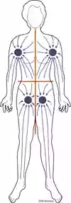 Bild som visar kroppens lymfatiska kvadranter