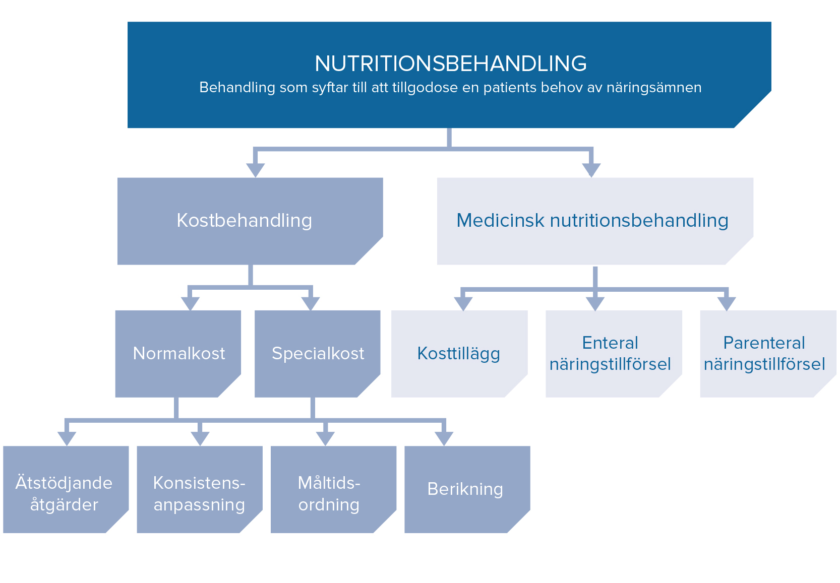 Figur som visar grundläggande principer för nutritionsbehandling