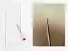 Bild som visar objektsglas och nål, mikroskopisk bild skabbdjur