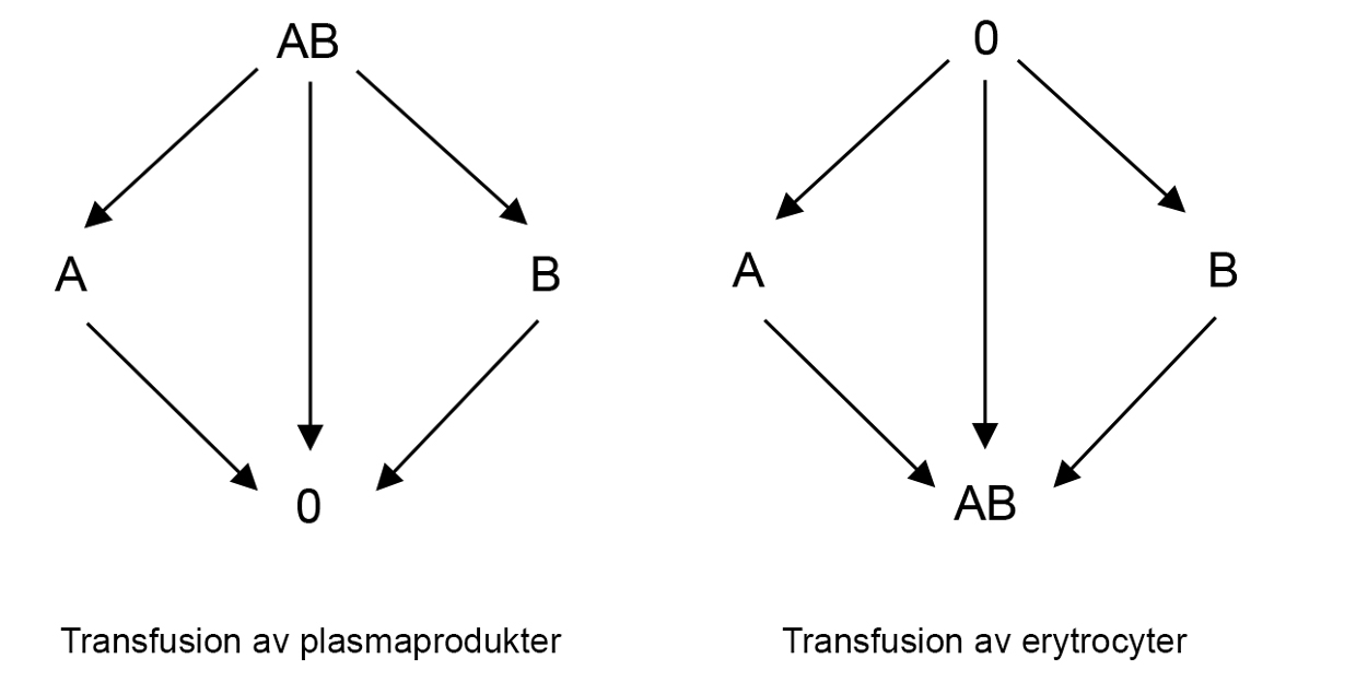 Bild som visar transfusion blodgrupper